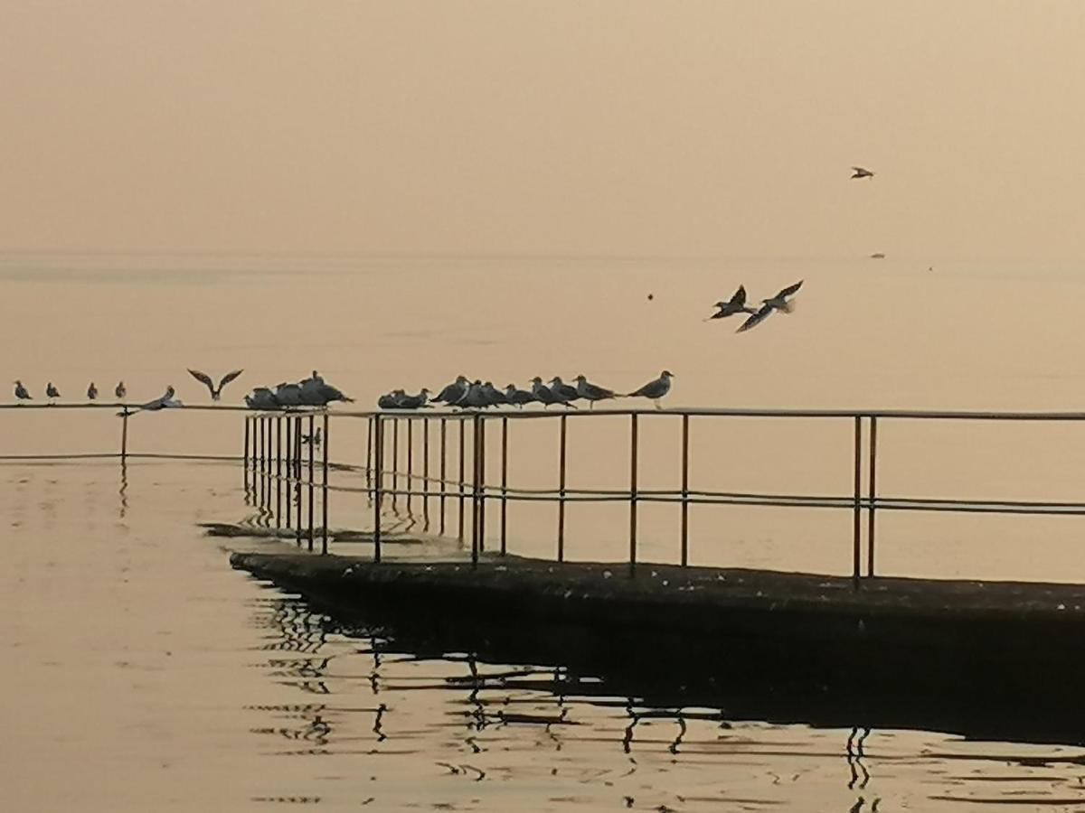 Apartments Jurisevic Umag Luaran gambar